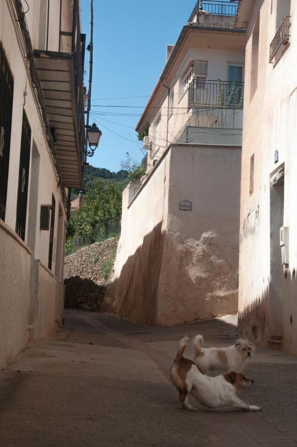 Casa Beatles Del Valle Pinos del Valle Eksteriør bilde